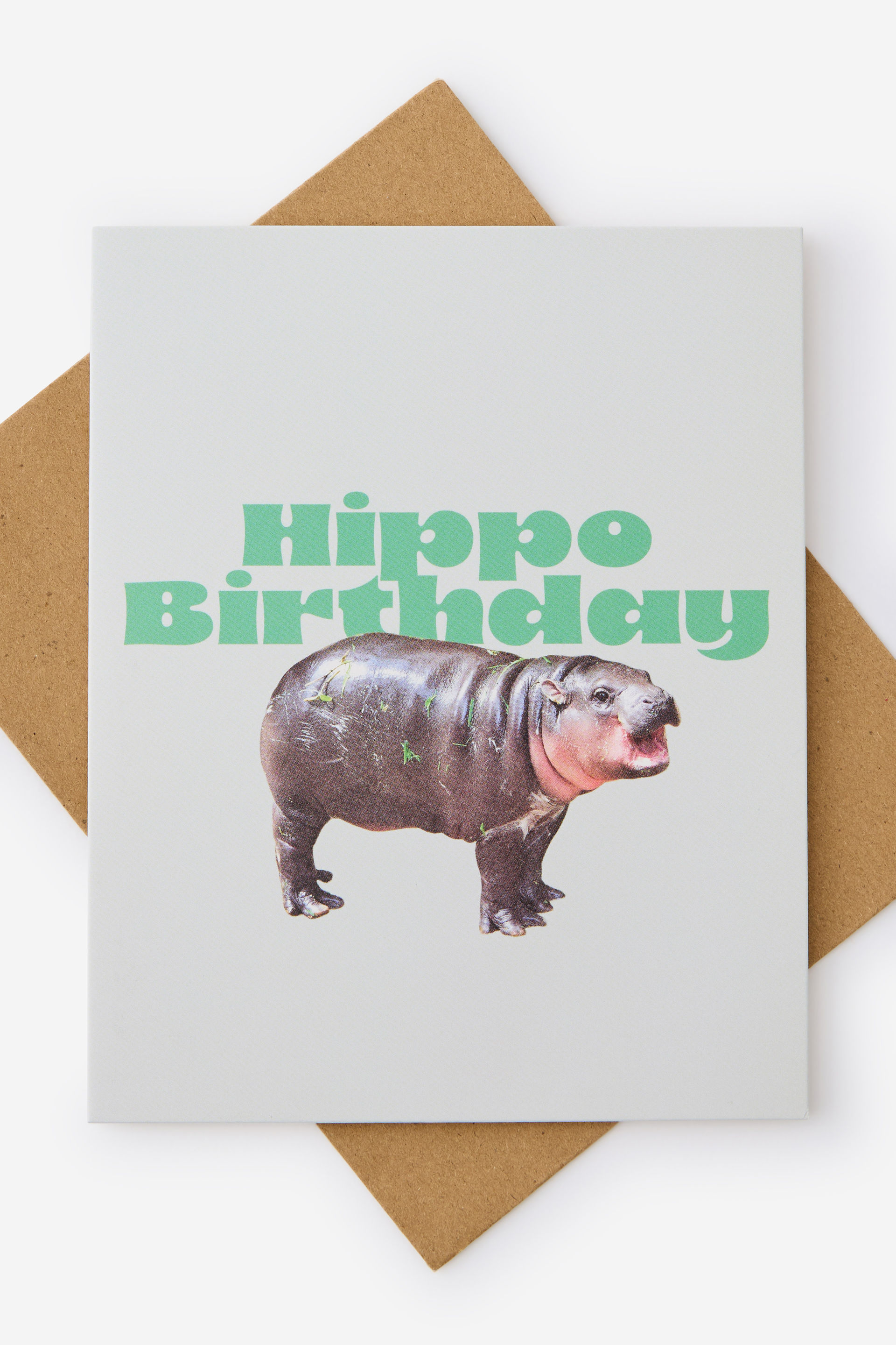 Funny Birthday Card