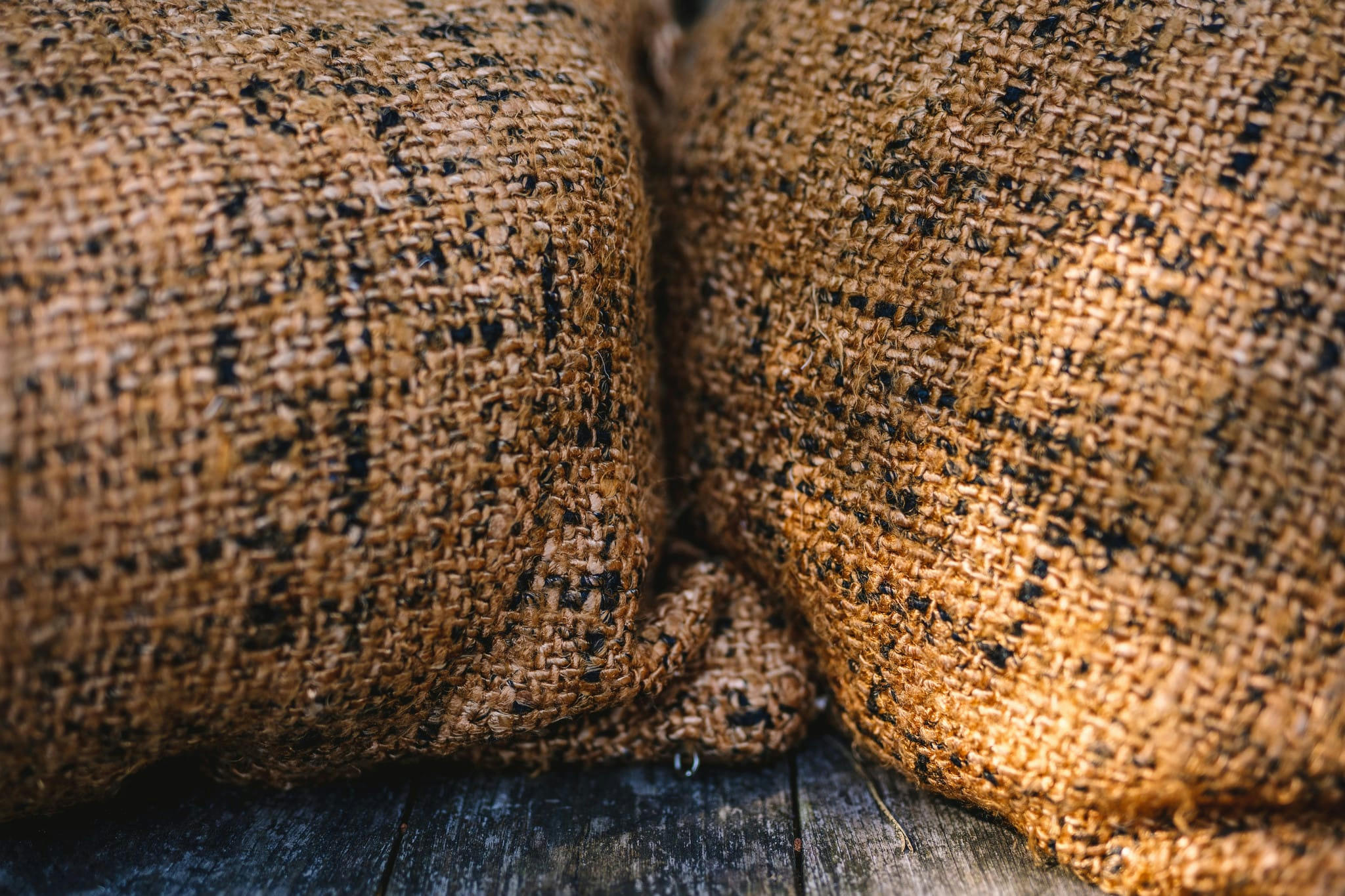 OH MY GEE - Coussin en coton jaune noir 60x60