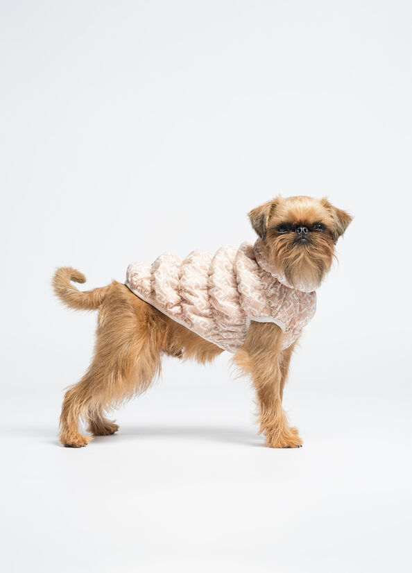 Giacca imbottita Liu Jo Pets