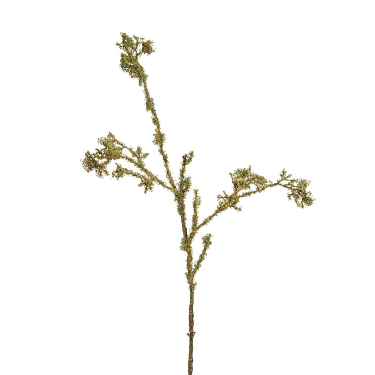 - Branche avec mousse H79