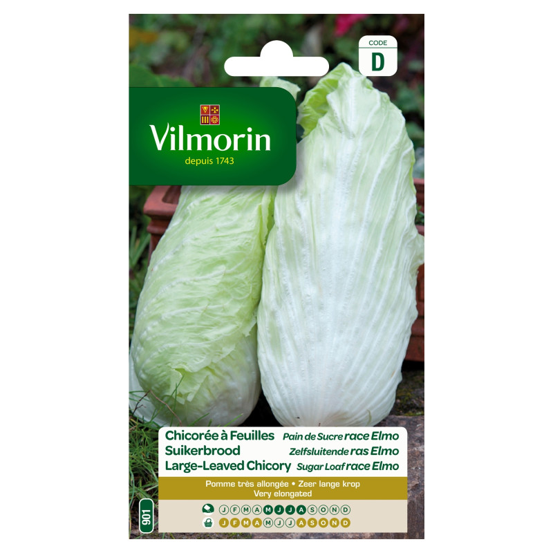 Semences de chicorée À feuilles pain de sucre race Elmo VILMORIN