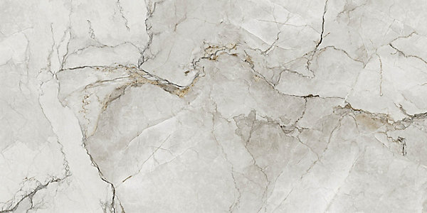 Carrelage sol/mur intérieur effet MARBRE l.60 x L.120 cm ADEL BLANC