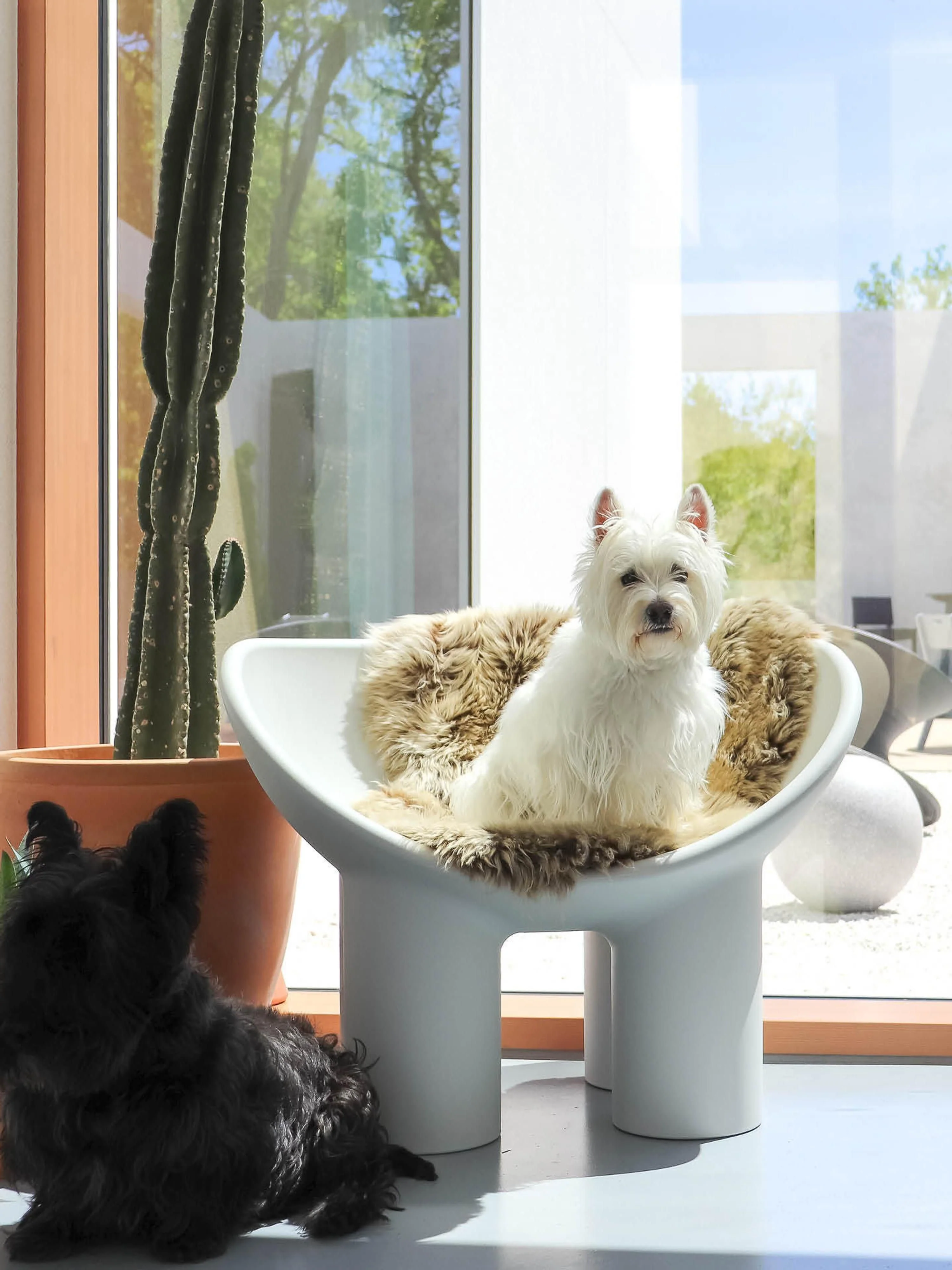 Kunststoff-Loungesessel Roly Poly