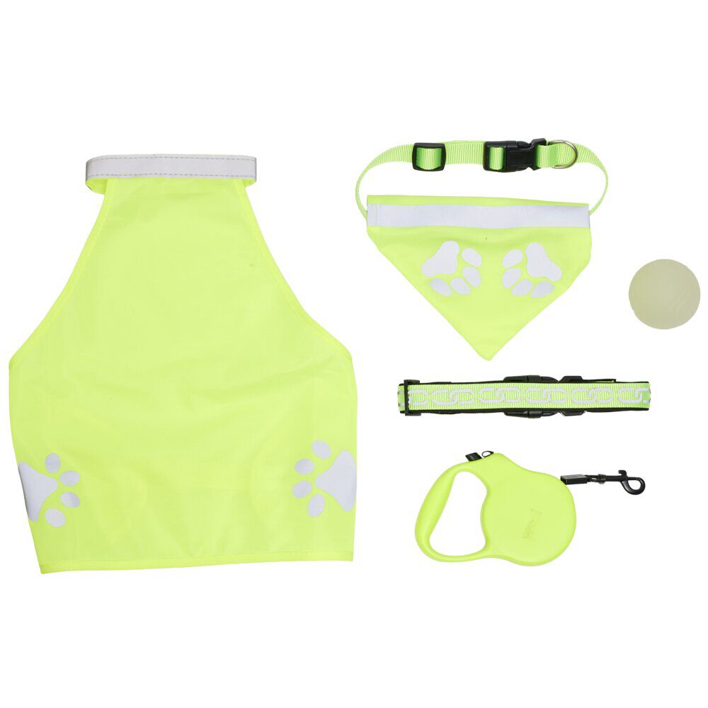 Accessoire sellerie pour chien 5 pièces fluorescent jeu et promenade