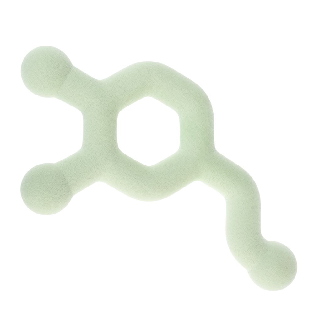 Nomad Tales Bloom Dog Toy Molecule