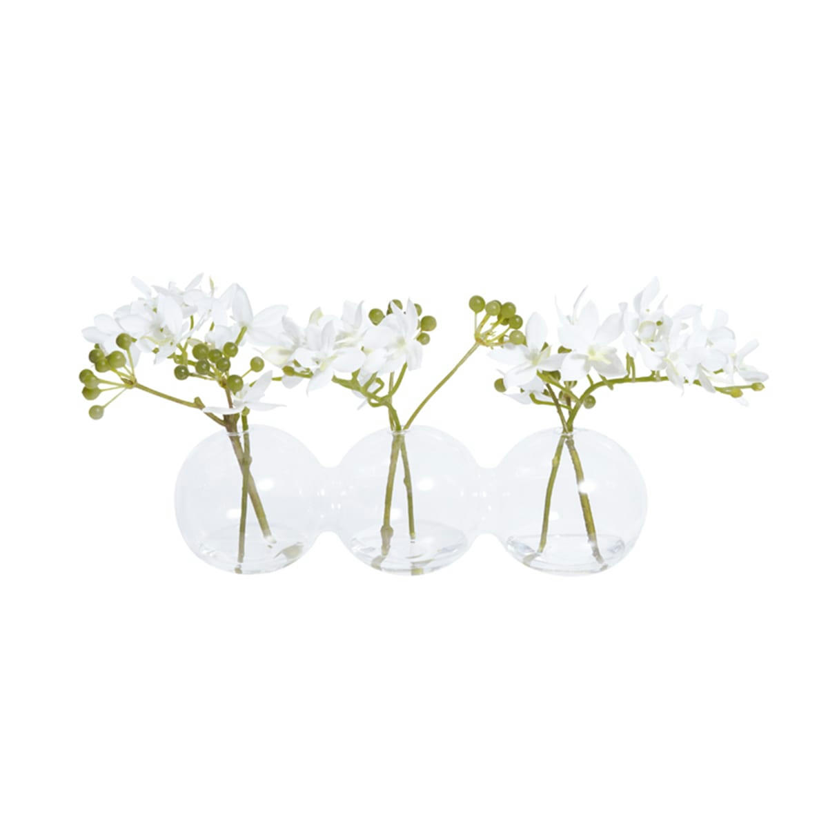 IRINA - Mini orchidées en illusion d'eau Irina