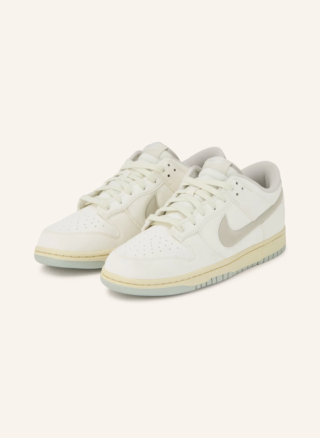 Nike Sneaker DUNK LOW RETRO PRM