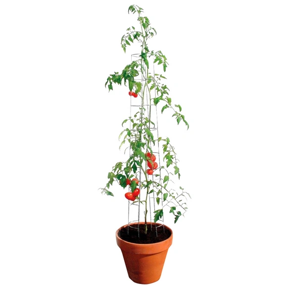 Tomatenturm, Stahl