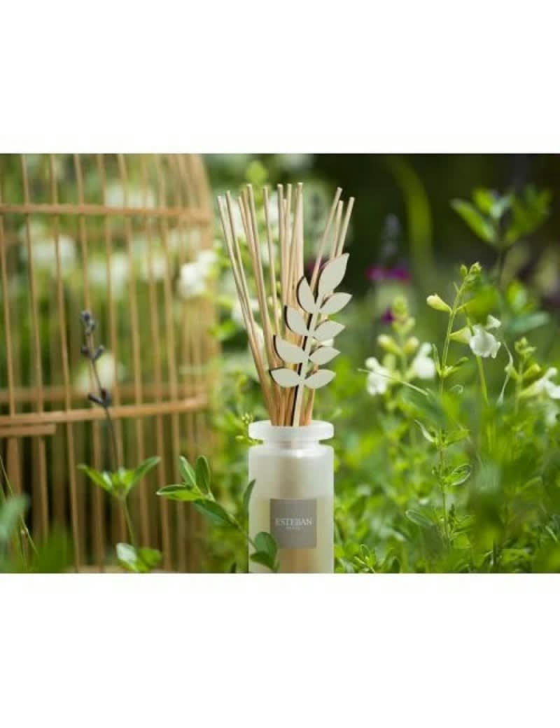 THÉ EN FLEUR - Recharge bouquet 500ml