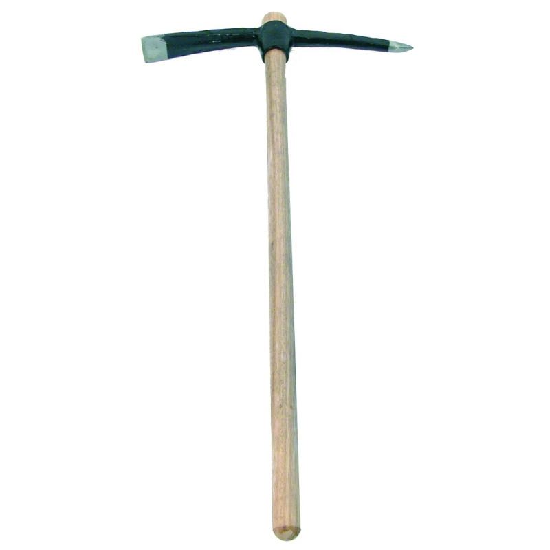 Pioche