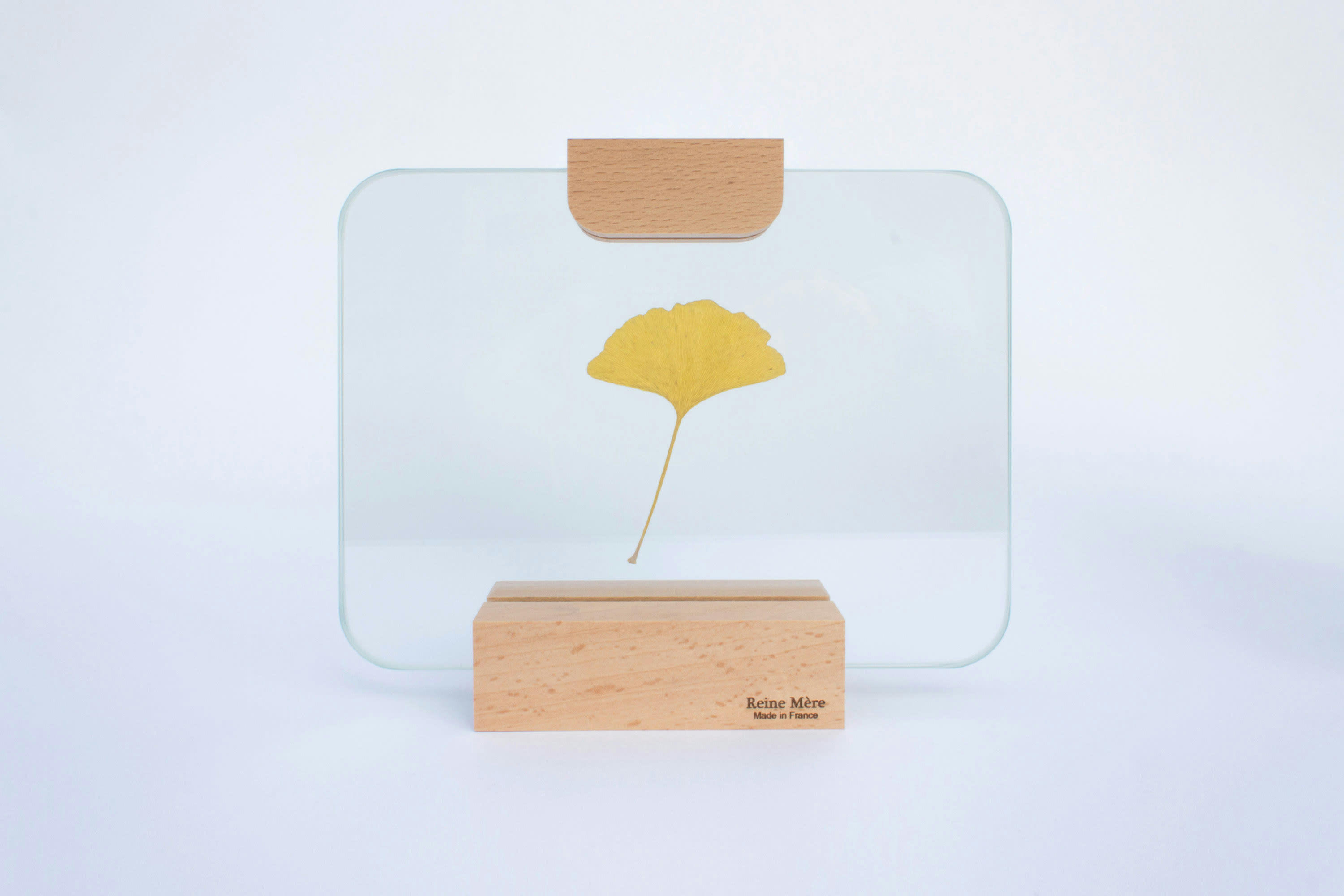 VERRIERE - Porte photo verrière pince bois 21x15cm