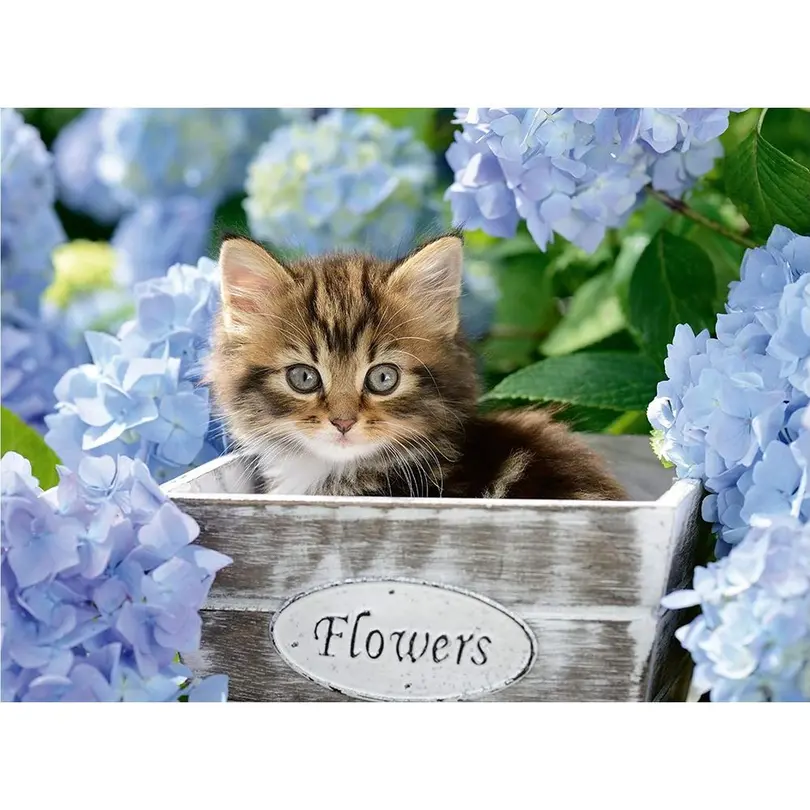 Puzzle Kleine Katze