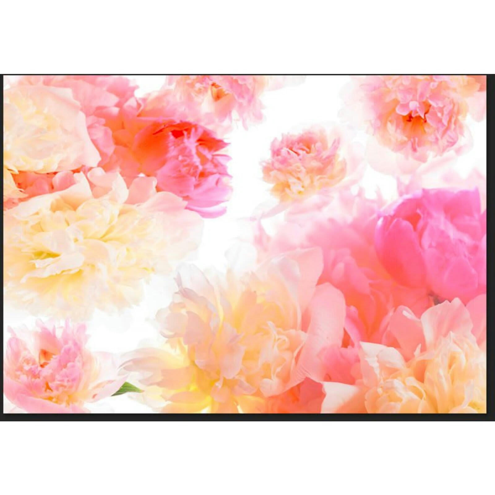 - Papier peint pivoines pastel 400 x 280 cm