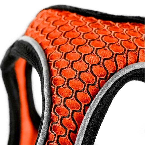 Geschirr, XXS-XS, polyester/mesh, orange
