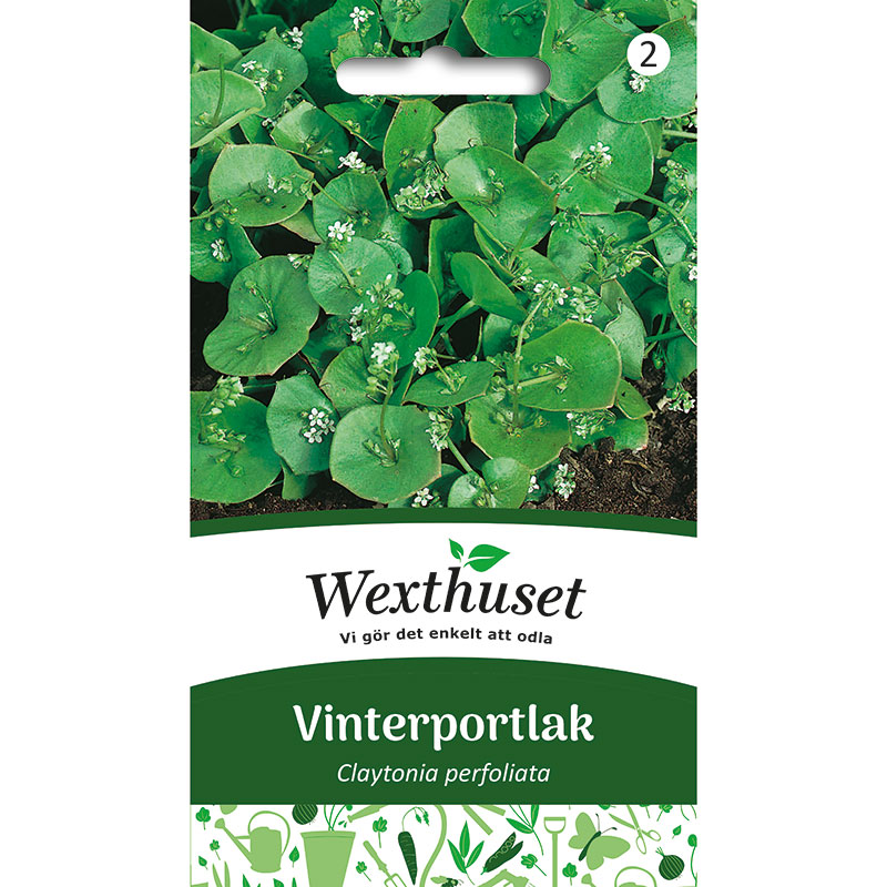 Vinterportlak