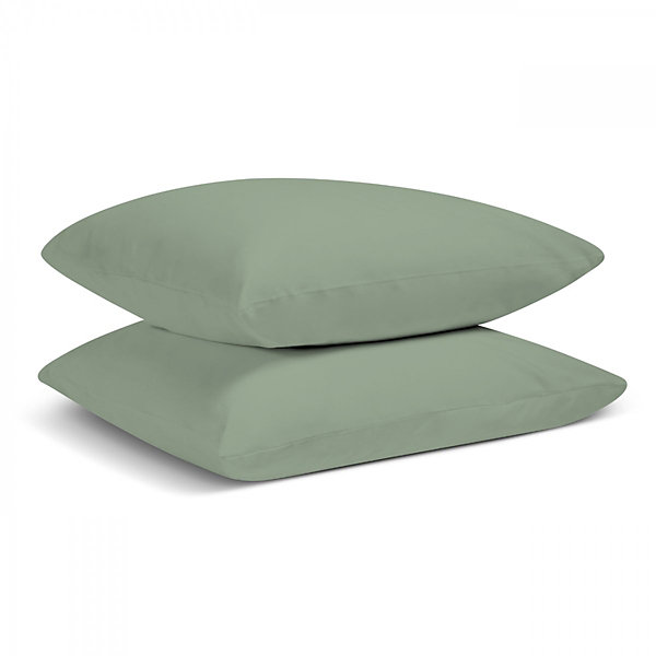 Lot de 2 Taies d'oreiller unies 50x75cm PERCALE SAUGE