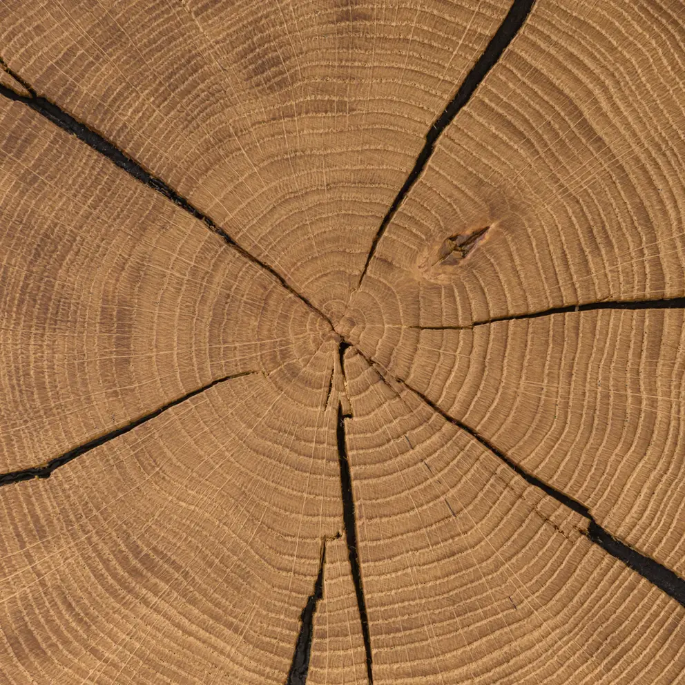 Beistelltisch Naturstücke