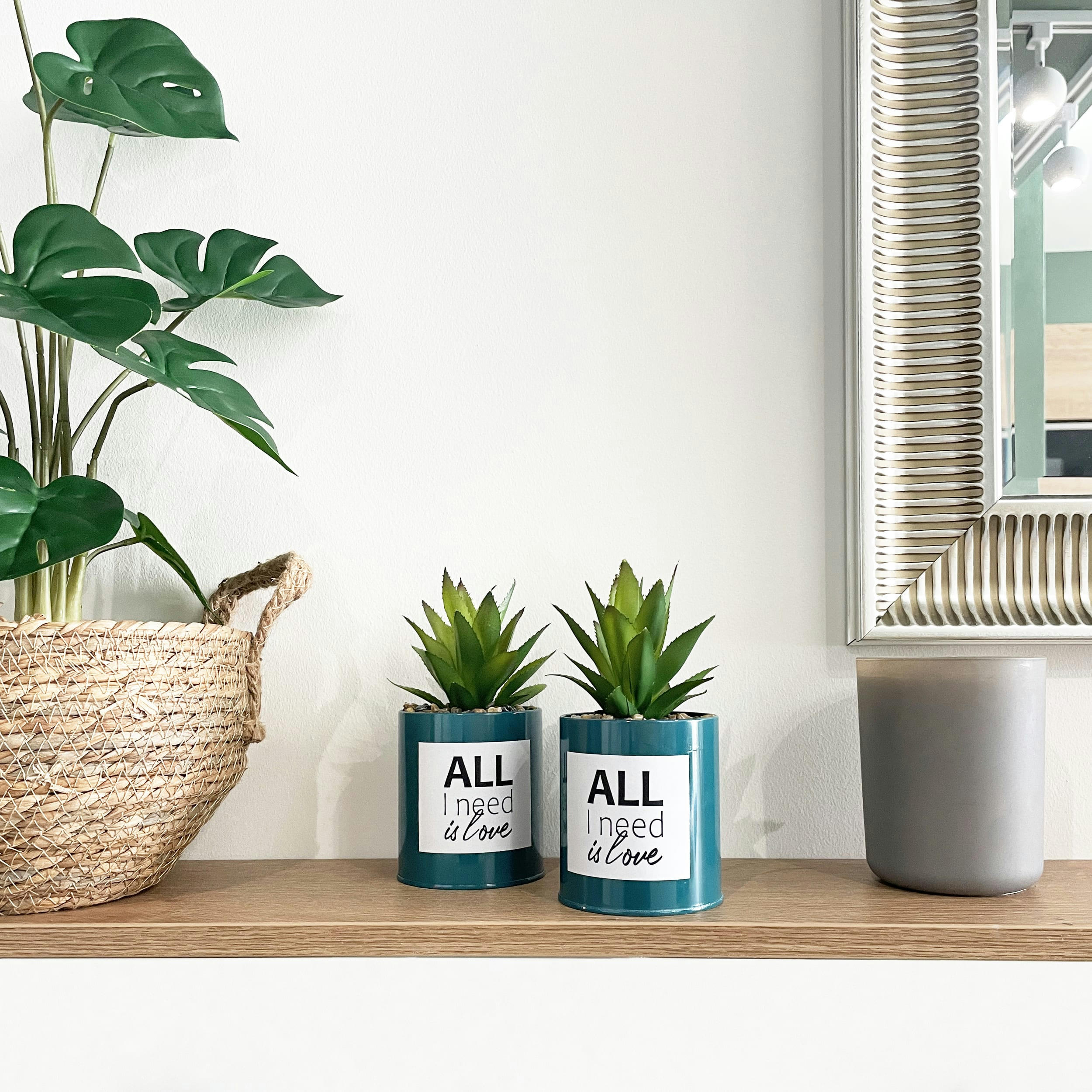 - Succulente artificielle en pot 17cm lot de 2