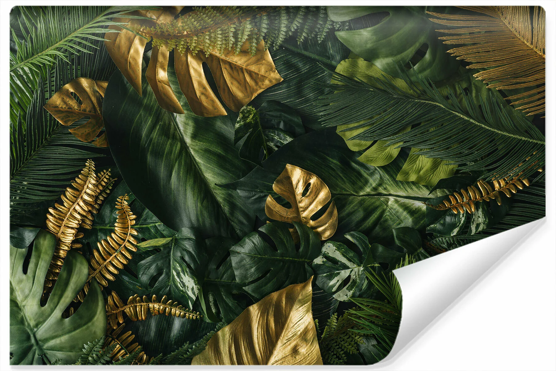 Fototapeta LIŚCIE TROPIKALNE Rośliny 3D 90x60cm