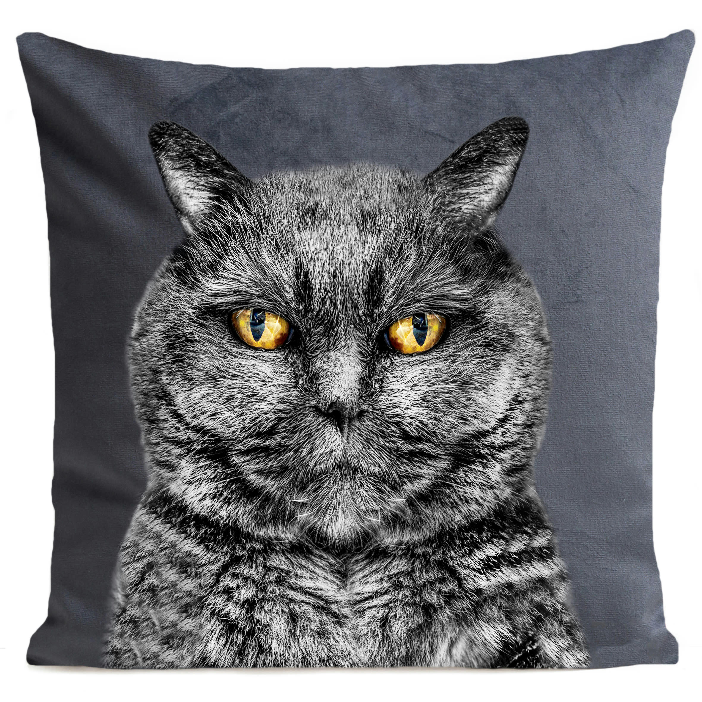 - Coussin chat suédine gris 40x40cm