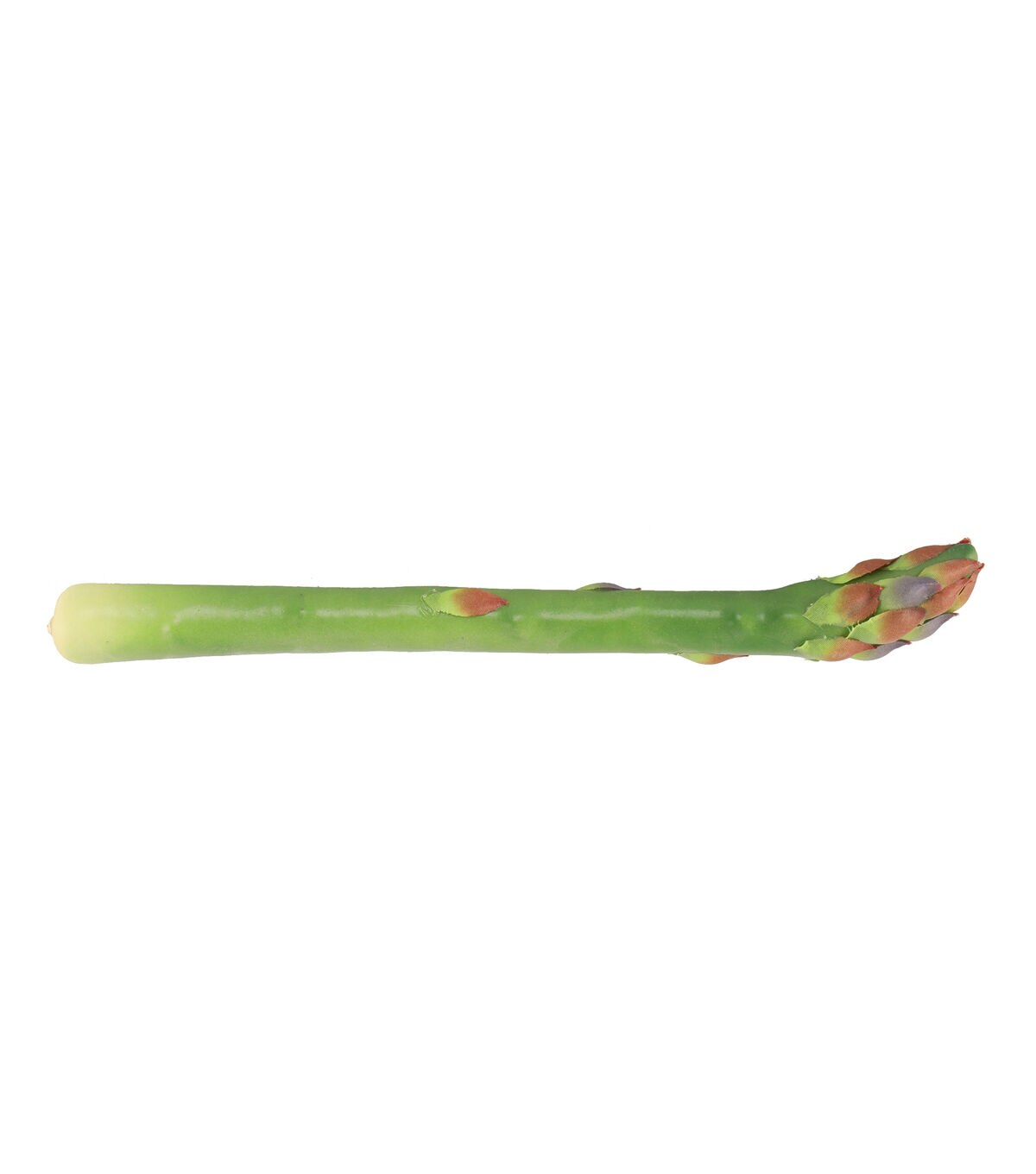 Flora Bunda 12ct Artificial Asparagus