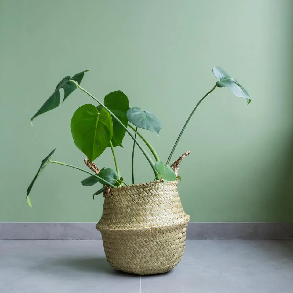 QUVIO Bloempot gevlochten rond met handvaten - M