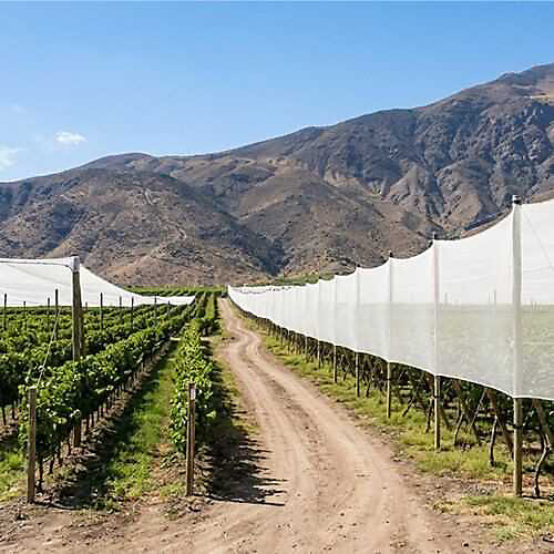 Filet Brise-vent - ombrage Blanc- 106gr/m - Long 18 m, Larg 6 m