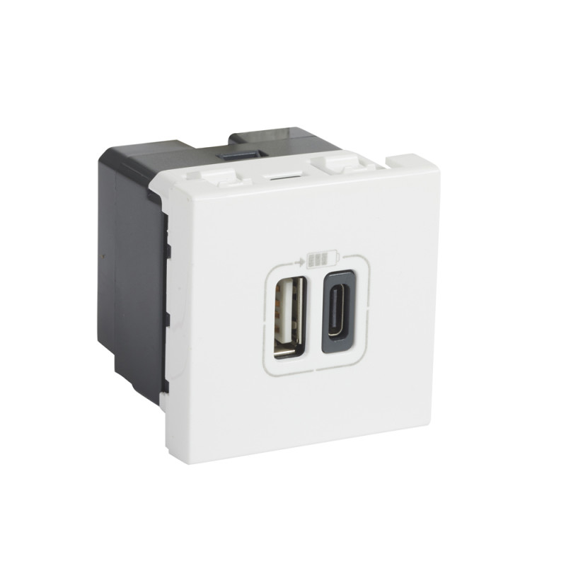 Prise chargeur USB A   C 2 modules Mosaic DLP avec clip blanc LEGRAND
