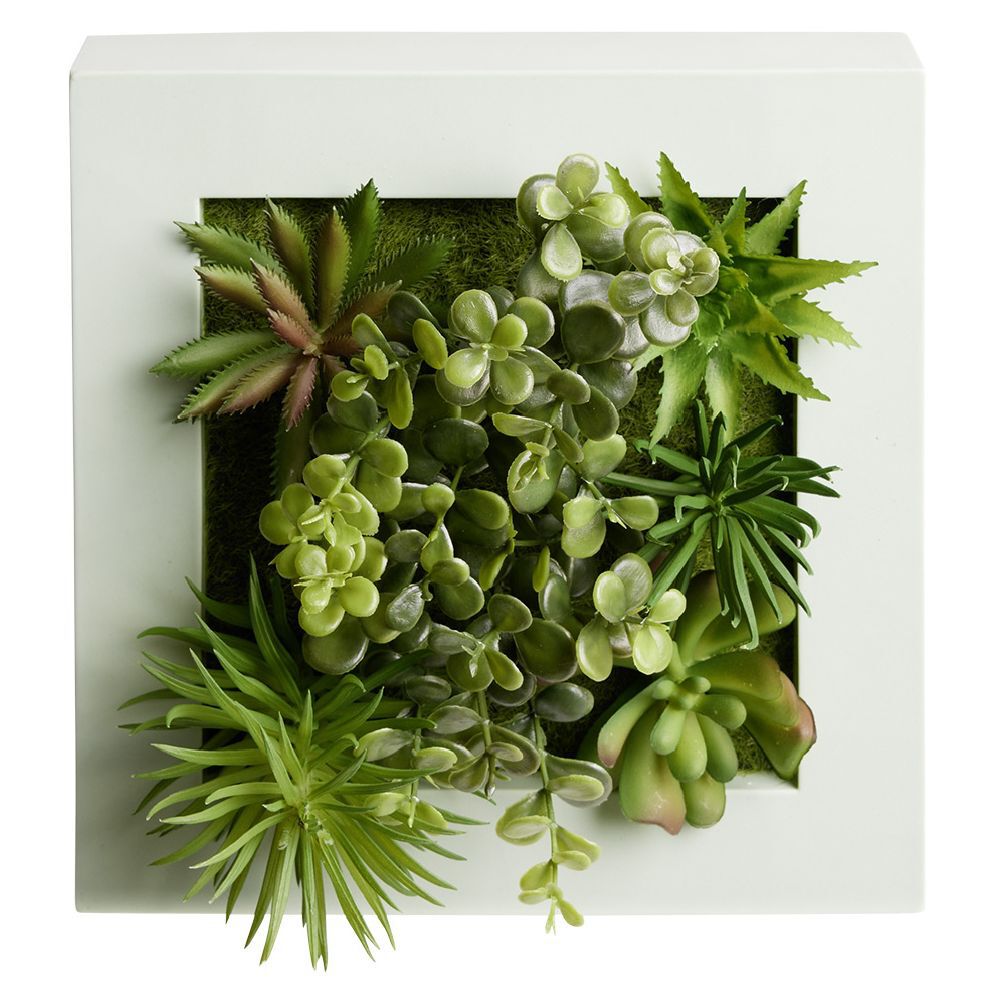 Cadre végétal plante artificielle murale