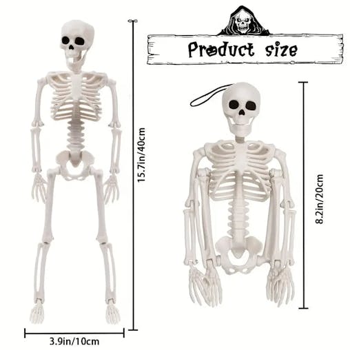 NNETM Set 3pcs 40.64cm Posable Halloween Skeleton Decorations Haunted Houses, Graveyards, and Indoor Outdoor