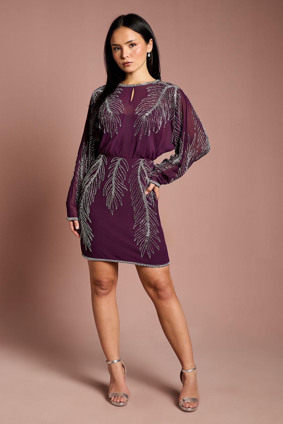 Coast Petite Long Sleeve Placement Feather Embellished Mini Dress