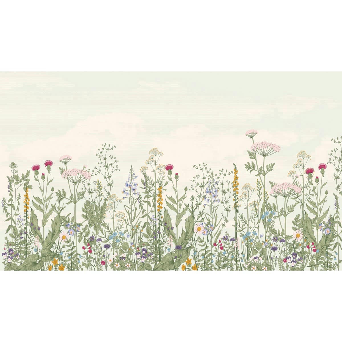 CENTAURÉE - Papier peint panoramique motif floral Multicolore 480x280cm