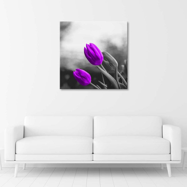 Feeby Obraz Fioletowe tulipany kwiaty natura 30x30