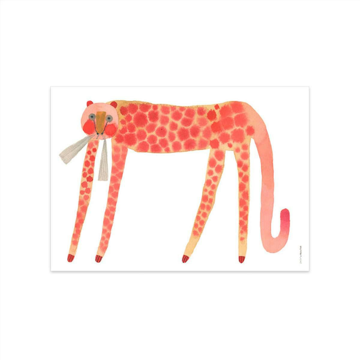 CAT - Poster chat en papier H50x70cm