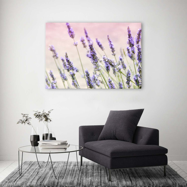 Feeby Obraz na płótnie Kwiaty lawendy 60x40