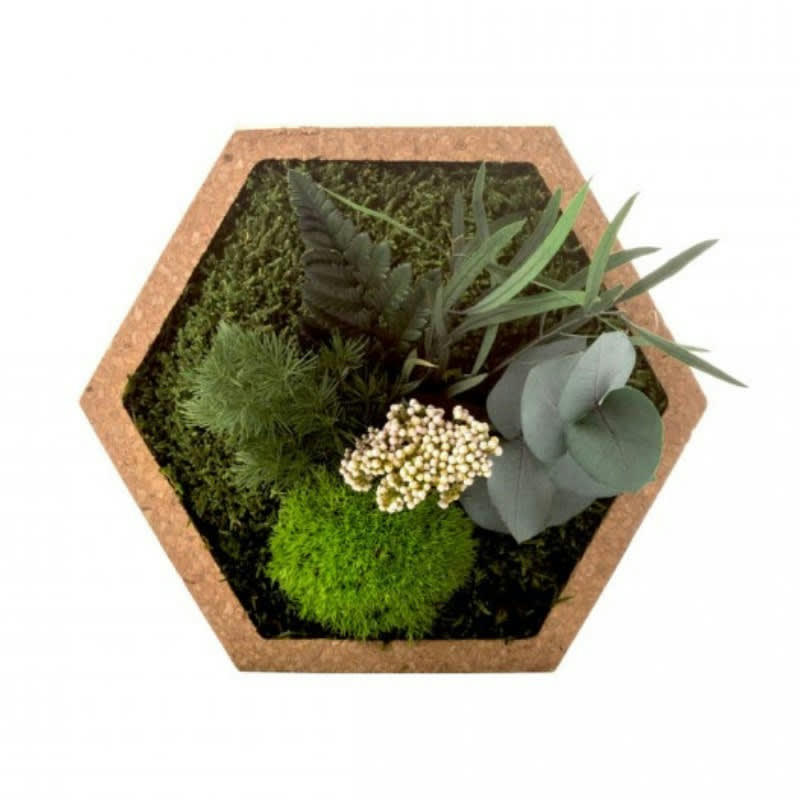 - Tableau végétal nature hexagonal S 16 x 16 cm