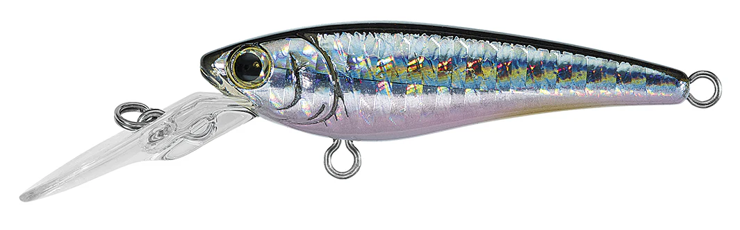 SC SHAD