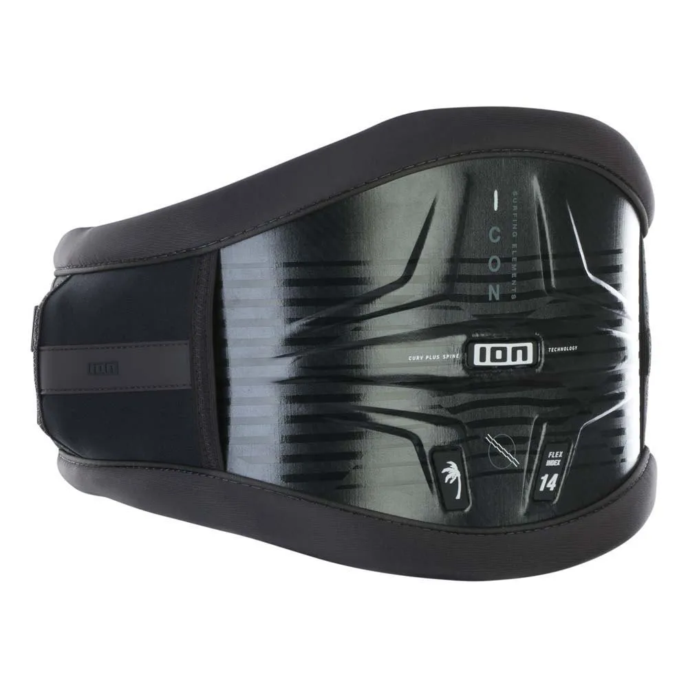 ION Icon Curv harness