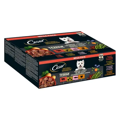 Cesar Natural Goodness Grain-Free with Superfoods 24 x 100g