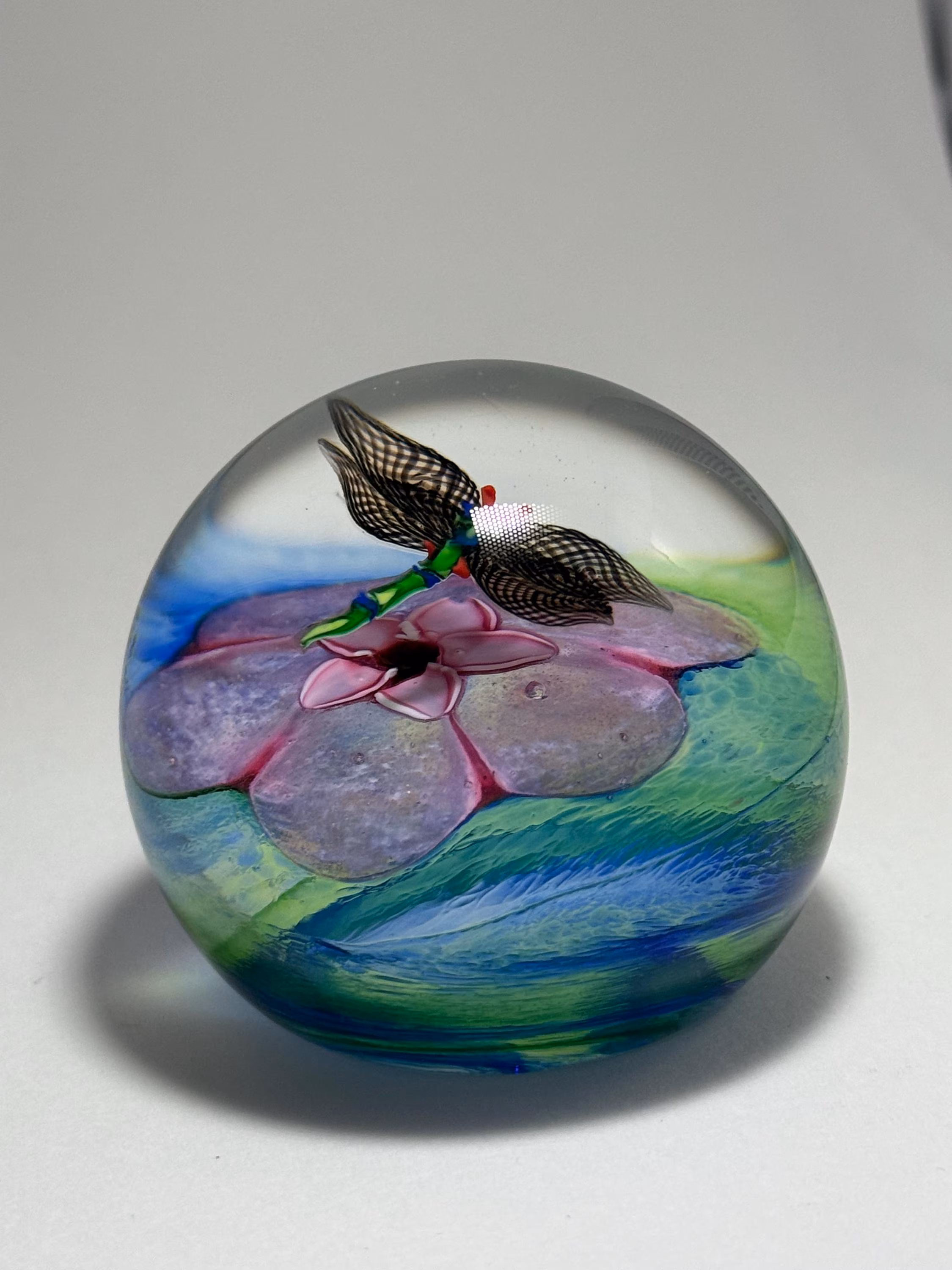 Caithness Morning Flight Dragonfly Paperweight