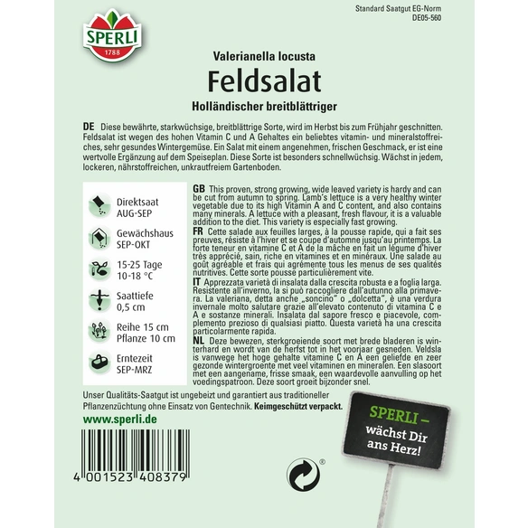 Feldsalat »Holländischer breitblättriger«, für die Ernte von Herbst bis Frühjahr, starkwüchsig