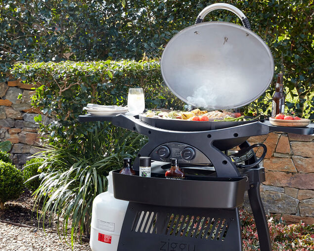 Ziggy Classic Twin Grill LPG BBQ Plus Cart Bundle - Gunmetal Grey
