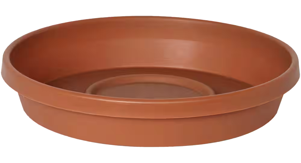 Bloem Terra Plastic Round Plant Saucer Tray, Assorted Sizes, Terra Cotta