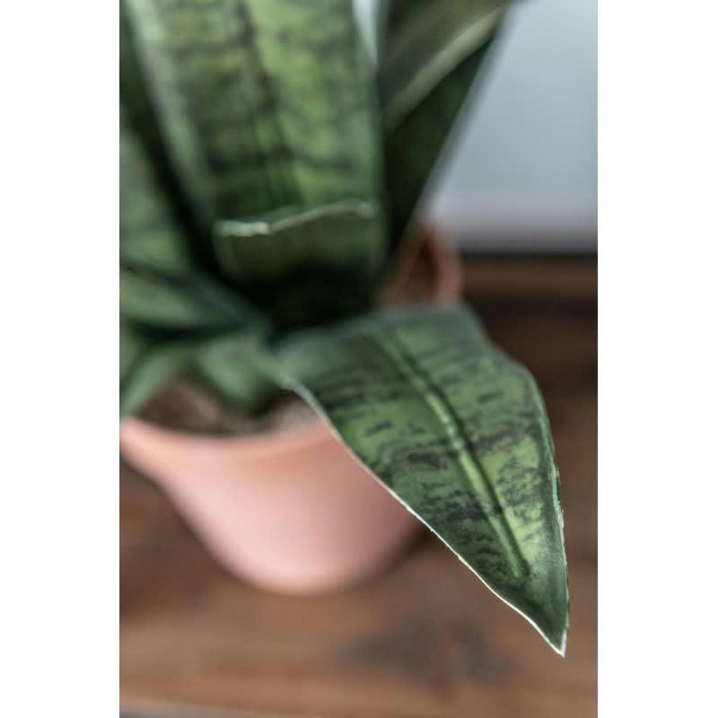 - Sanseveria synthétique vert + pot terracotta H50cm - Lot de 2