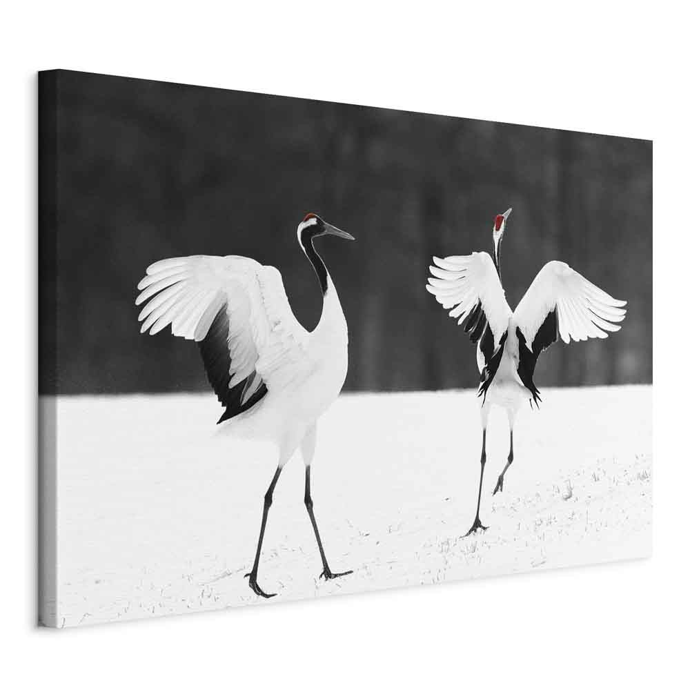 Obraz Dancing cranes 90 x 60 cm