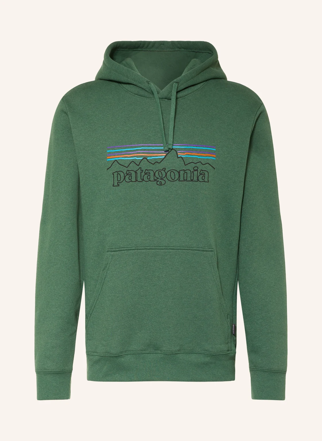 patagonia Hoodie P-6