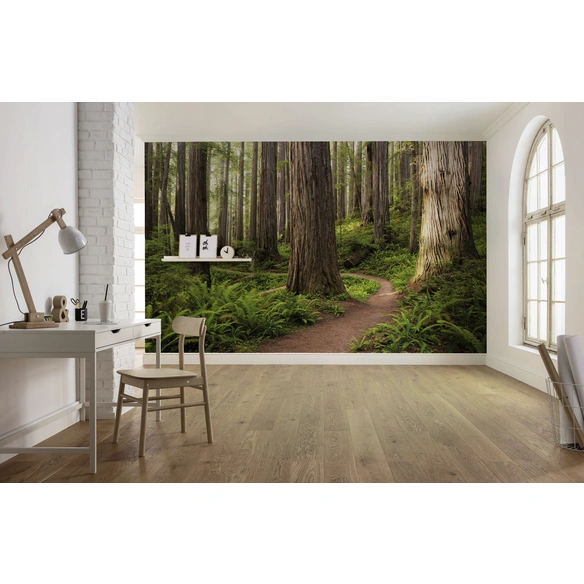 Vliestapete »Redwood Trail«, Breite 450 cm, seidenmatt