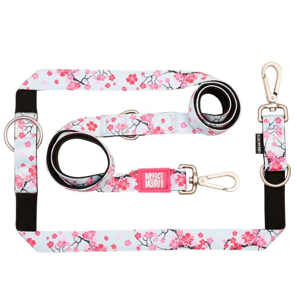 Max & Molly Cherry Bloom Multifunctional Leash