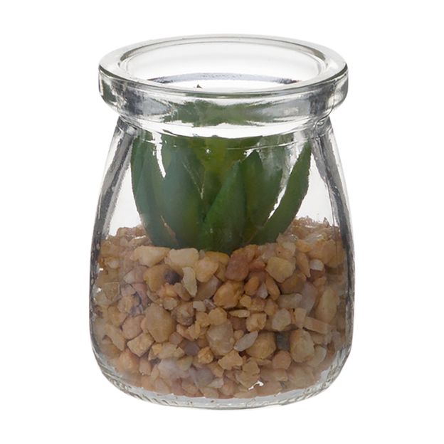 SUCULENTA SEDUM MINI ARRANJO ARID