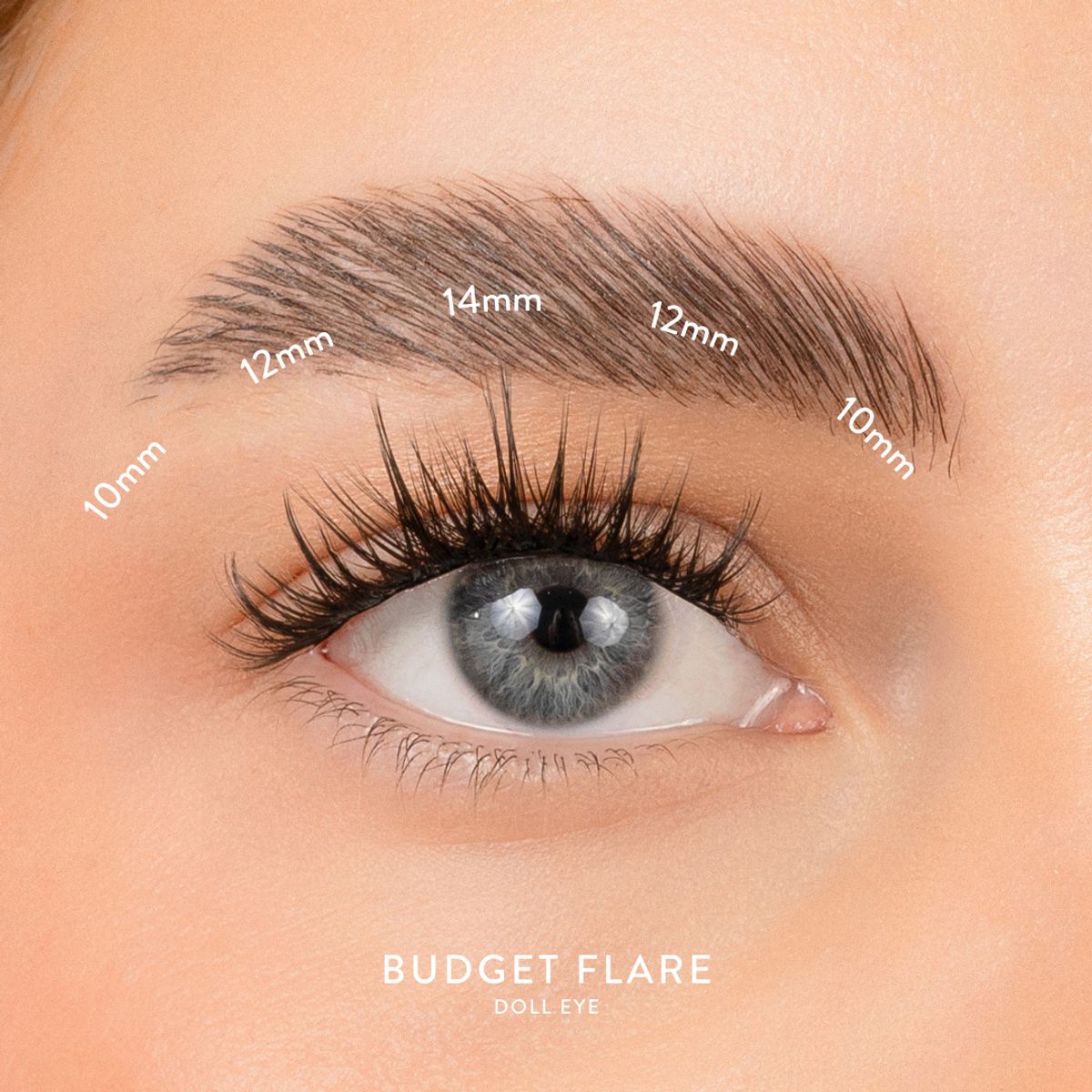 House of Amor Budget Box "FLARE" with Mini Bond